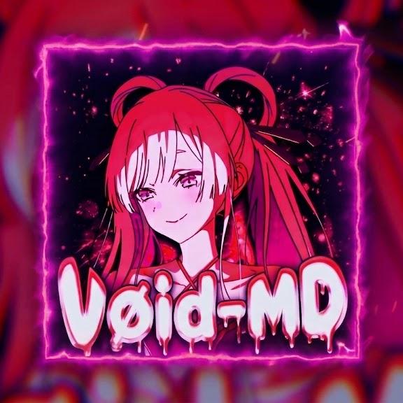 void-baileys banner